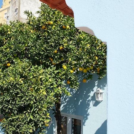 Proa d'Alfama Guest House Lisboa Extérieur photo