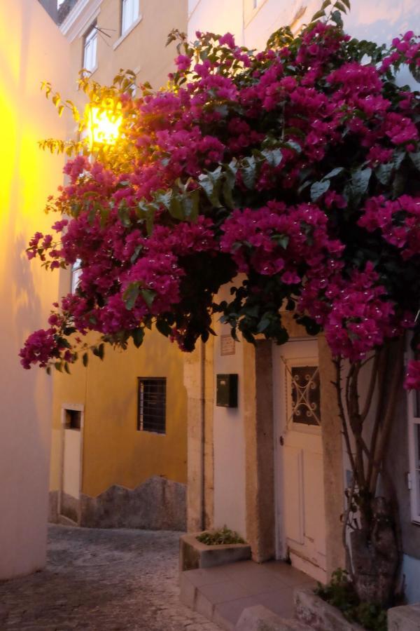 Proa d'Alfama Guest House Lisboa Extérieur photo