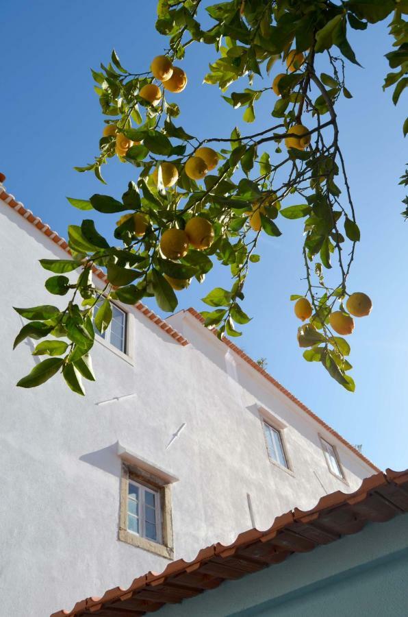 Proa d'Alfama Guest House Lisboa Extérieur photo